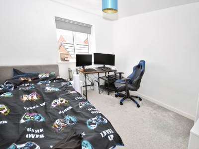 Picture 11